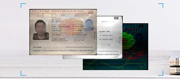 Lecteur pour identification à poser - Sinosecu - pour carte d'identité /  pour permis de conduire / pour passeport